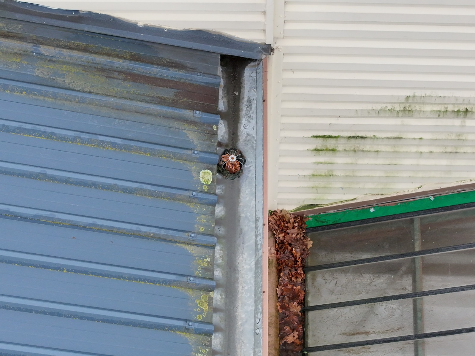 Inspection toiture par drone — crapaudine obstruée par des feuilles mortes et chéneau encombré à la jonction de deux toitures.